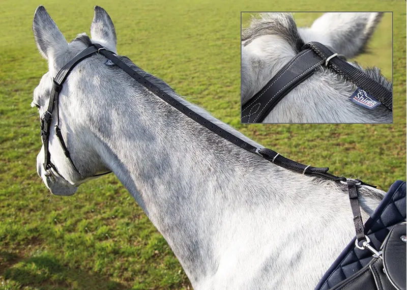 Shires Daisy Rein Black